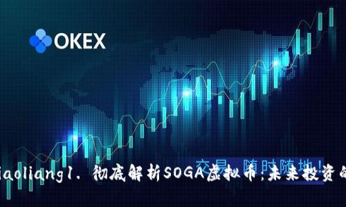 xiaoliang/xiaoliang1. 彻底解析SOGA虚拟币：未来投资的潜力与风险