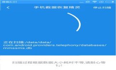 全面解析虚拟币网站导航
