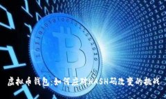 虚拟币钱包：如何应对H