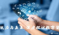 虚拟币的魅力与未来：深