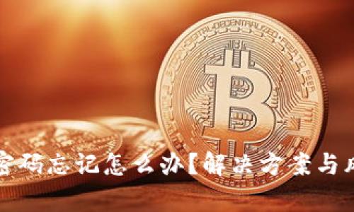 TP钱包密码忘记怎么办？解决方案与风险分析
