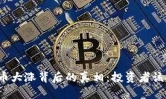 今年虚拟币大涨背后的真