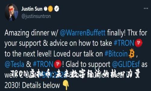 TRON虚拟币：未来数字经济的核心力量