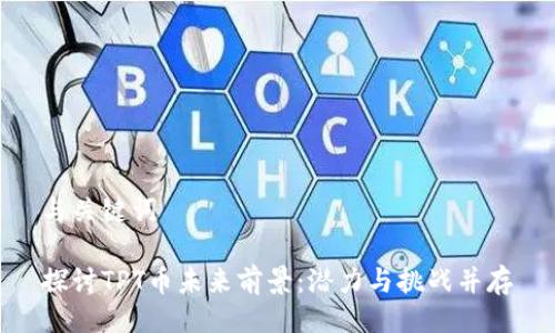 与关键词

探讨TPT币未来前景：潜力与挑战并存