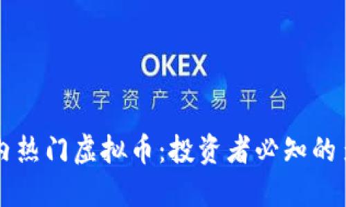 了解国内热门虚拟币：投资者必知的多元选择