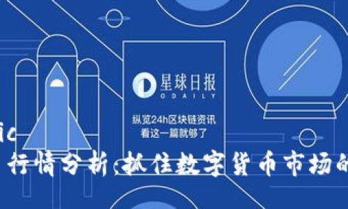 bic/bic  
TPT币行情分析：抓住数字货币市场的脉搏