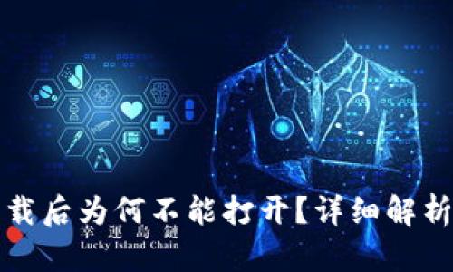 TP冷钱包下载后为何不能打开？详细解析与解决方案