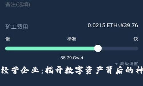 虚拟币经营企业：揭开数字资产背后的神秘面纱