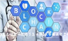 TP钱包支付密码忘记了怎么