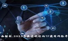 全面解析：2023年最受欢迎