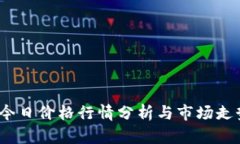TPT币今日价格行情分析与