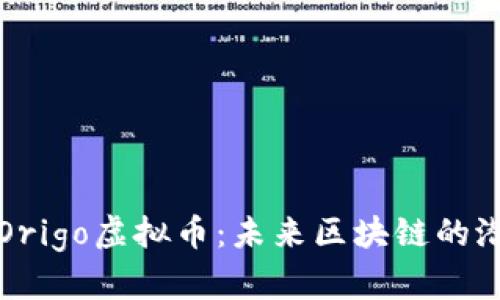全面解析Origo虚拟币：未来区块链的潜力与挑战