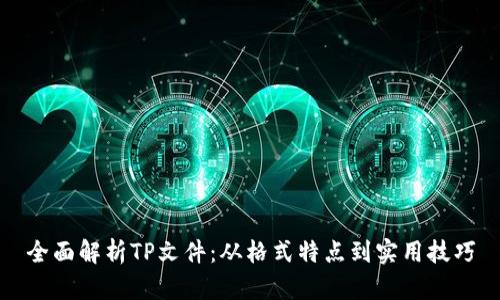 全面解析TP文件：从格式特点到实用技巧