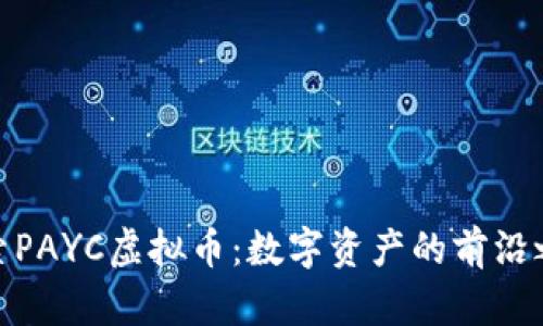 探索PAYC虚拟币：数字资产的前沿之旅