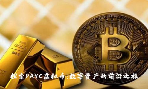 探索PAYC虚拟币：数字资产的前沿之旅