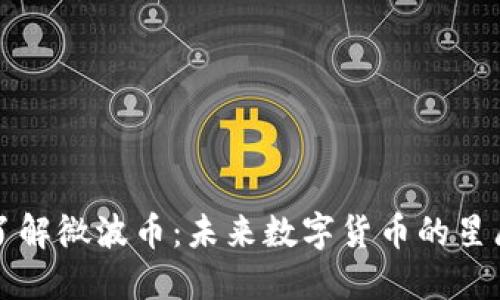 深入了解微波币：未来数字货币的星辰大海