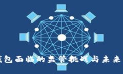TP钱包面临的监管挑战与未