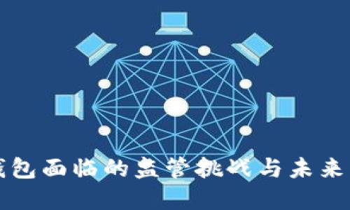 TP钱包面临的监管挑战与未来展望