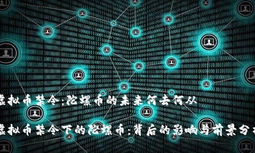 虚拟币禁令：陀螺币的未来何去何从

虚拟币禁令下的陀螺币：背后的影响与前景分析