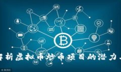 全面解析虚拟币炒币项目