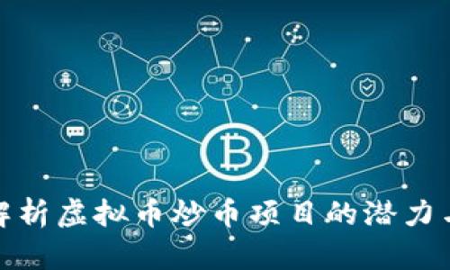 全面解析虚拟币炒币项目的潜力与风险