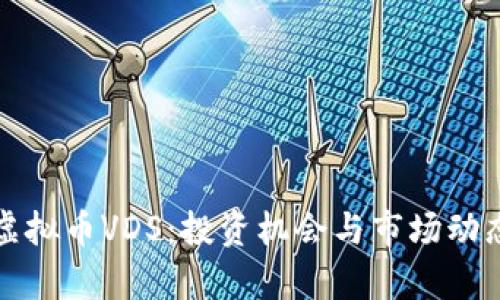 今日虚拟币VDS：投资机会与市场动态解析