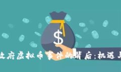 探索政府虚拟币事件的背