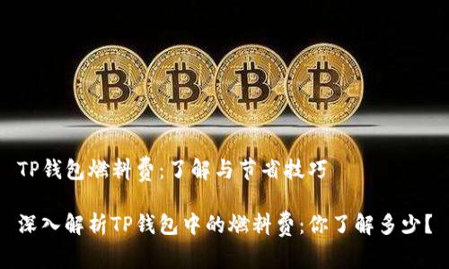 TP钱包燃料费：了解与节省技巧

深入解析TP钱包中的燃料费：你了解多少？