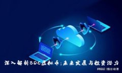 深入解析BDC虚拟币：未来