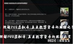 : 理解PUR虚拟币：未来数字