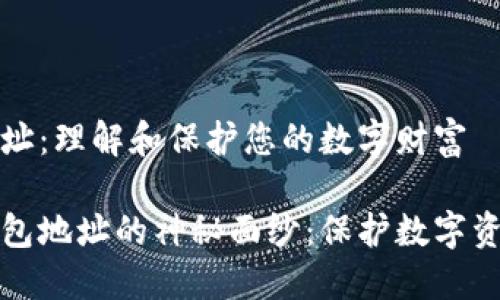 虚拟币钱包地址：理解和保护您的数字财富

揭开虚拟币钱包地址的神秘面纱：保护数字资产的必备知识