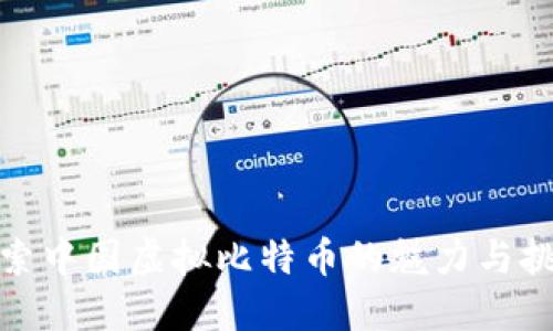 探索中国虚拟比特币的魅力与挑战