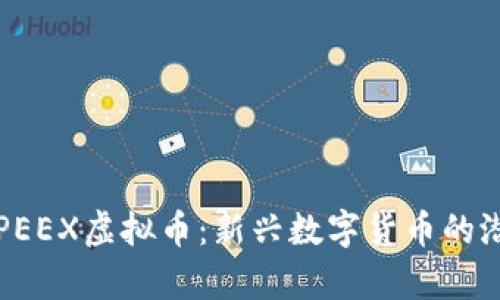 深入解析PEEX虚拟币：新兴数字货币的潜力与未来