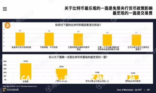 解析CAC虚拟币：加密时代的创新金融工具
