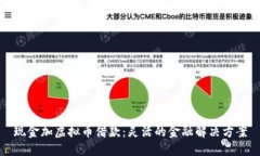 现金加虚拟币借款：灵活