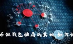 揭开虚拟币假钱包骗局的