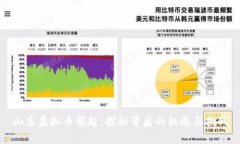 山东虚拟币崛起：探秘背