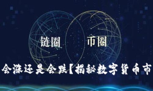 TP钱包里的币会涨还是会跌？揭秘数字货币市场的变幻莫测