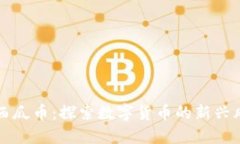 虚拟西瓜币：探索数字货