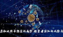 揭开虚拟比特币泡沫的面