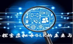 深入探索虚拟币BLK的未来