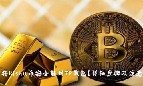 如何将Kishu币安全转到TP钱包？详细步骤及注意事项