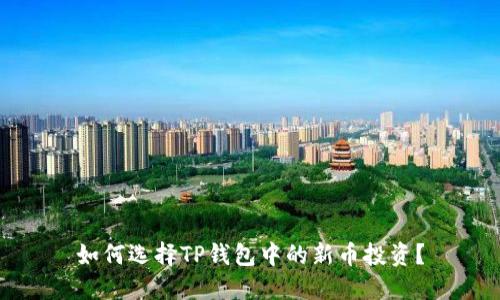如何选择TP钱包中的新币投资？