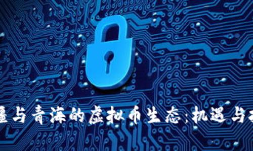 新疆与青海的虚拟币生态：机遇与挑战