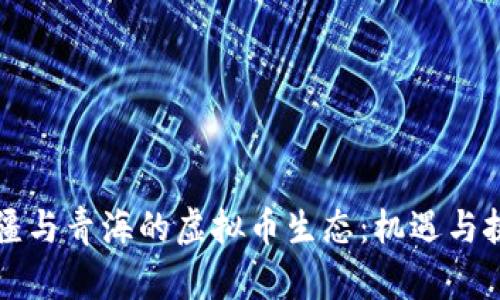 新疆与青海的虚拟币生态：机遇与挑战