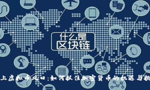 踏上虚拟币风口：如何抓住加密货币的机遇与挑战