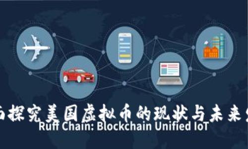 全面探究美国虚拟币的现状与未来发展