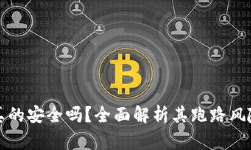虚拟币钱包真的安全吗？全面解析其跑路风险与保障措施