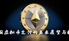 中国虚拟币支付的未来展