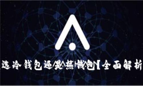 选择TP钱包时该选冷钱包还是热钱包？全面解析与最佳选择指南